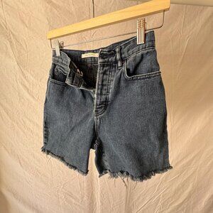 Pacsun High Rise Straight Shorts